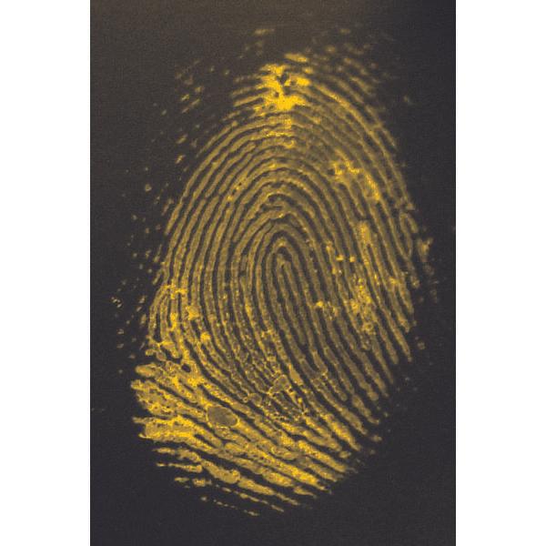 1,2 Indanedione Fingerprint Powder